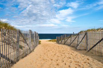 Poster - Path way to the beach at Cape Cod