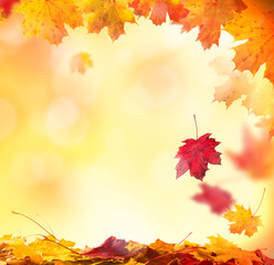 Wall Mural - Abstract autumn background with copyspace