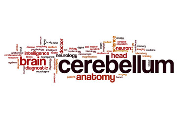 Sticker - Cerebellum word cloud