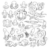 Fototapeta Pokój dzieciecy - Hand drawn octopus set