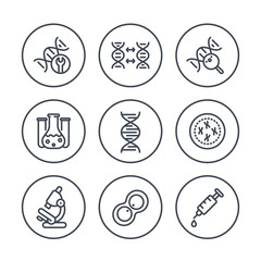 Poster - genetics line icons in circles, dna modification, genetic research, lab, dna chain, replication