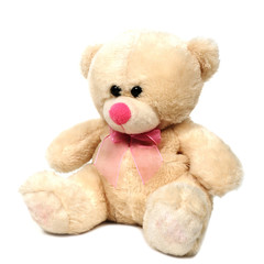 Wall Mural - Single teddy bear doll on white background