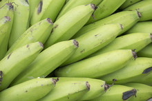 Green Plantain - Superfood
