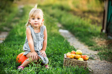 Little Cheerful Girl Sits On A Pumpkin. About Baby Is A Basket Of Apples. Girl In The Garden, In The Countryside. Thanksgiving Day. The Season Of Harvest. Copy Space.