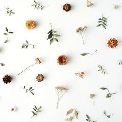 yellow dry flowers, branches, leaves and petals pattern isolated on white background. flat lay, overhead view