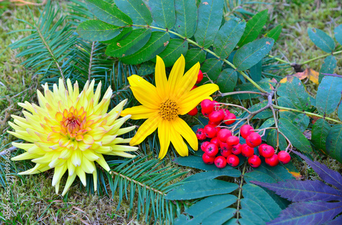 Herbst Dekoration Garten Buy This Stock Photo And Explore