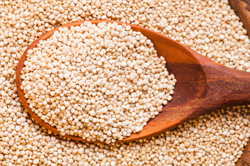 Sticker - Pile of quinoa grain