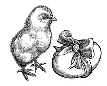 Cute Chick With Egg. Sketchy Style. Hand Drawn Graphic Illustration In Vector. Ink Drawing.