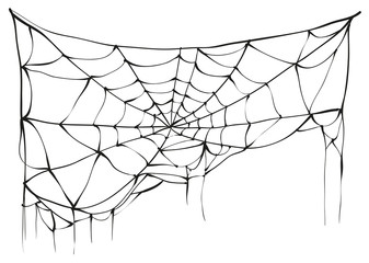 Wall Mural - torn spider web on white background