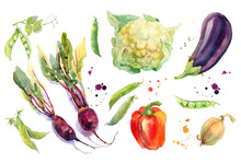 Watercolor Vegetables Set