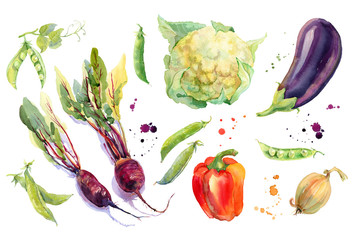 Watercolor vegetables set