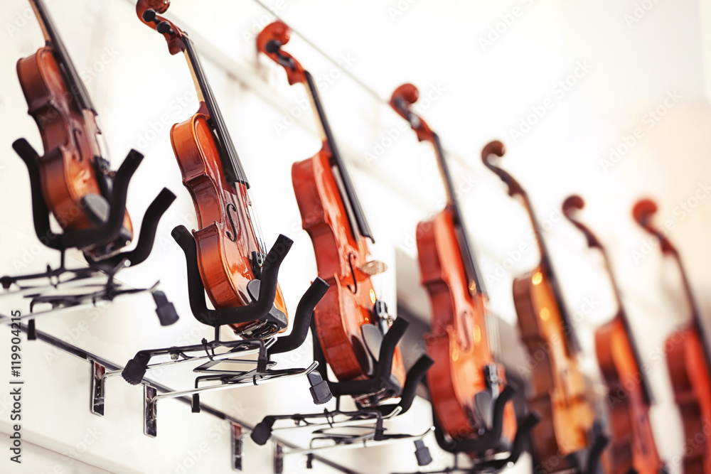Violins in music shop