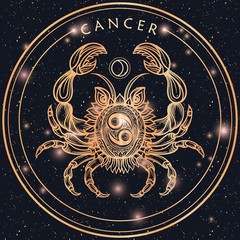 Wall Mural - Hand drawn line art of zodiac cancer. Vector