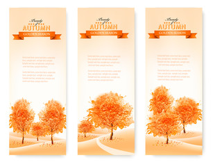 Poster - Three landscape autumn banners. Vector