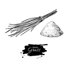 Sticker - Barley grass and powder vector superfood drawing. Isolated hand