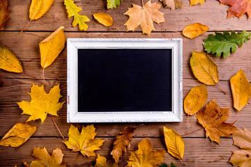 Wall Mural - autumn leaf composition with picture frame. copy space.