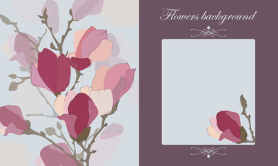  Vector floral background , pink flowers, gift card , greeting ca