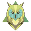 Poly owl illustration