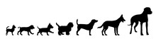Vector Illustration Of Dog.