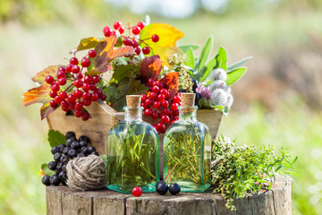 Wall Mural - Bottles of tincture, box of healthy herbs and berries outdoors