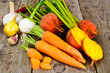 © ArtCookStudio - Autumn Vegetables Beets, Onions and Carrots