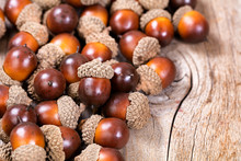 Pile Of Acorn Decorations On Rustic Wood
