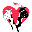 Cute cartoon black white giraffe boy and girl Big heart. Camelopard couple on date. Funny character set. Long neck. . Happy family. Word Love Greeting card. Flat design. Isolated.