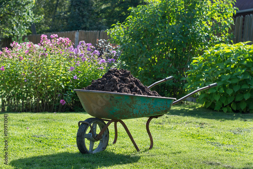 Fotografía Wheelbarrow full of compost on green lawn in garden.