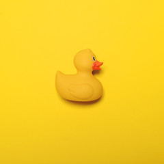 Yellow rubber duck on yellow background - Minimal design