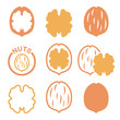 
Walnut, nutshell vector icons set 