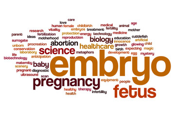 Wall Mural - Embryo word cloud