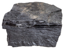 Carbonaceous Shale Stone (slaty Coal Bone)