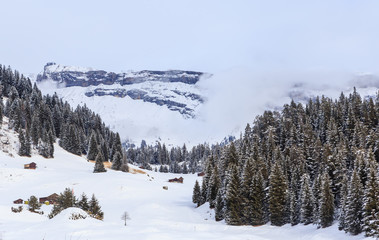 Canvas Print -  Ski Resort Laax. Switzerland