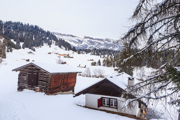 Canvas Print -  Ski Resort Laax. Switzerland