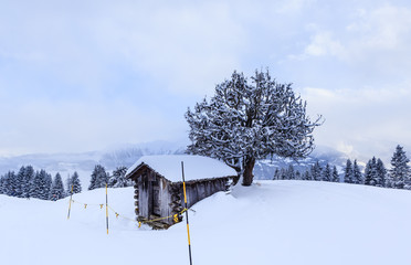 Canvas Print - Shed in the mountains. Ski Resort Laax. Switzerland