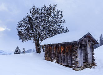 Canvas Print - Shed in the mountains. Ski Resort Laax. Switzerland