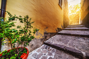 Wall Mural - narrow stairway in Castelsardo