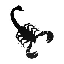Scorpion Animal Insect Scorpio Zodiac Sign Silhouette Vector Illustration