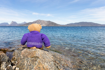 teddy bears sitting at the top of a large stone with deep blue s