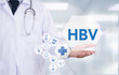 HBV CONCEPT (hepatitis B virus)