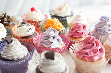 Many Different Colored Delicious Cupcakes