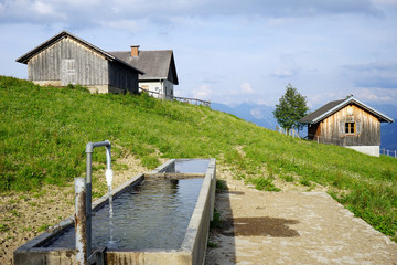 Wall Mural - Clean water and farm