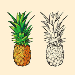 Wall Mural - Outline pineapple and color cartoon vector illustration