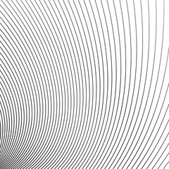 Leinwandbilder - Thin dynamic curved lines monochrome geometric pattern