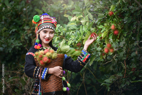 Fotografie, Obraz Woman with tribal dress of indigenous peoples are harvested ripe red fruit in the garden