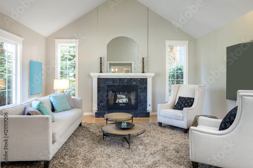 Fotografía Living room with black marble fire place Richly Furnished and De