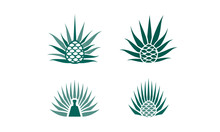Agave Plant Logo