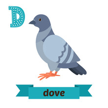 Dove. D Letter. Cute Children Animal Alphabet In Vector. Funny C