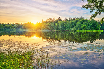 Wall Mural - Calm sunrise over forest lake