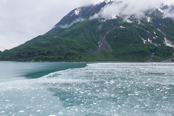 Canvas Print - Green Mountain Beyond Ice Flow